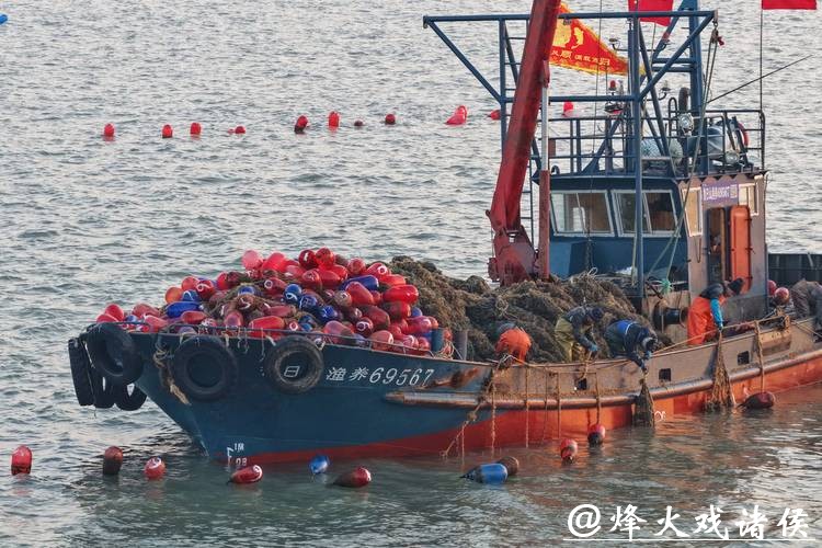深视频 | 不到24小时放人了！春节前，日本时隔四年再次扣押中国渔船